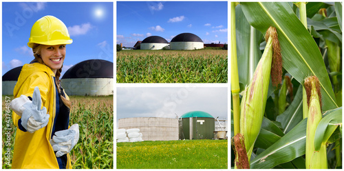 Biogasgewinnung photo