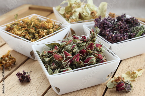 Canvas Print Herbs séshes