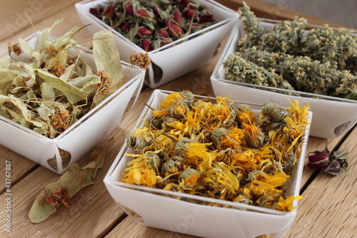 Εκτύπωση καμβά Plantes sèches pour la phytothérapie traditionnelle