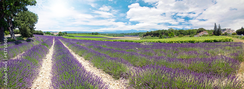 Provence 9 Ter