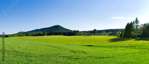 Panorama with green meadow