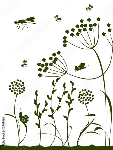 Natural background with plants, flowers, insects