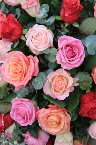 Roses in different shades of pink