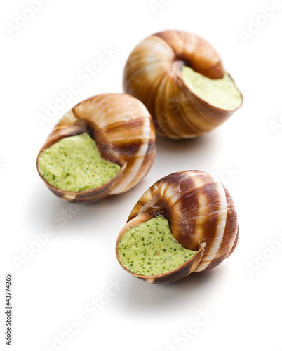 snails with butter and parsley