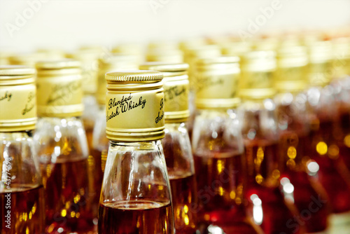 bottles of scotch blended whisky