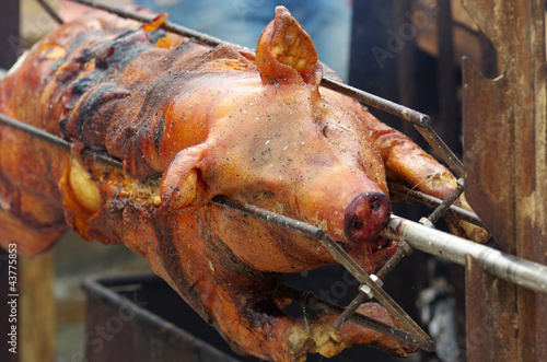 Fotografie Cochon grillé à la broche