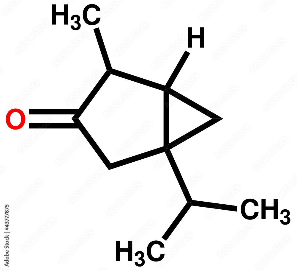 Thujone, compound with menthol odor, constituent of absinthe