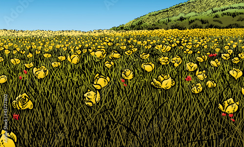 Flowery Meadow