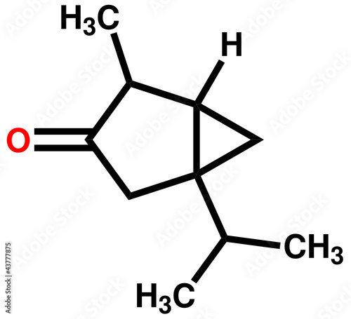 Thujone, compound with menthol odor, constituent of absinthe