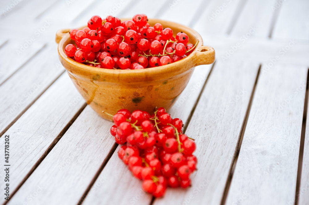 Red Currants in a Bowl/Rote Johannisbeeren in einer Schale Red Currants in a Bowl/Rote Johannisbeeren in einer Schale