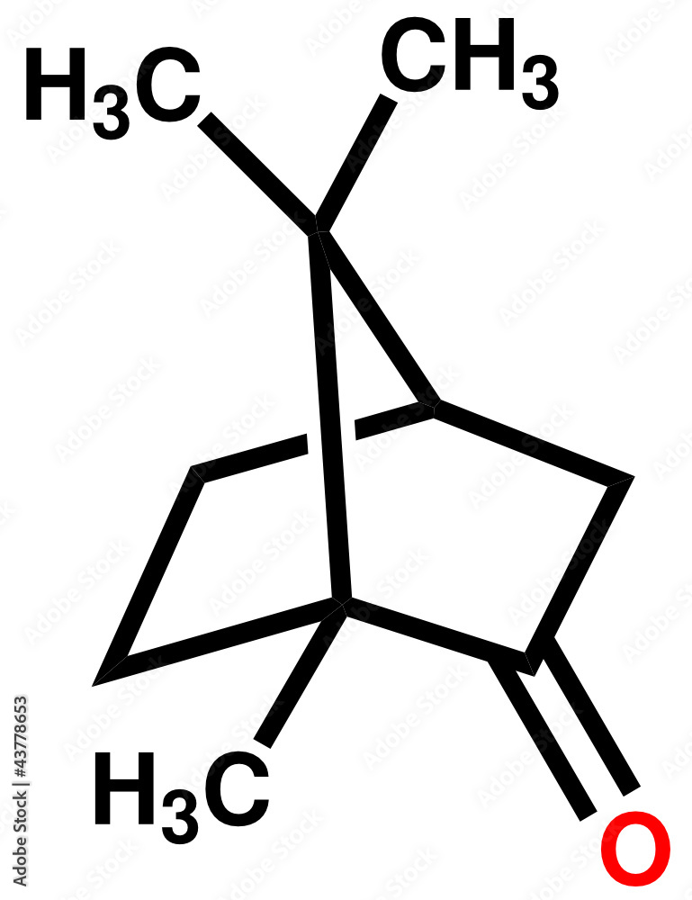 Camphor structural formula Camphor structural formula