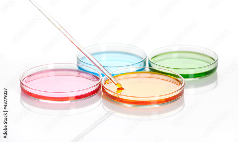 Petri dishes with a colored liquids, isolated Petri dishes with a colored liquids, isolated
