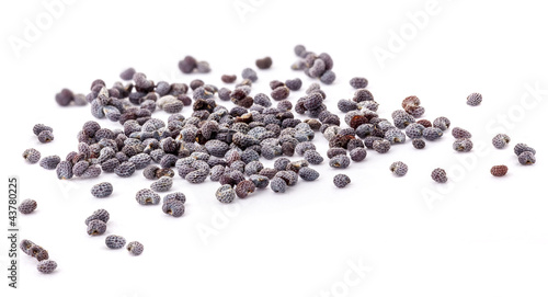 Obraz na plátně Poppy seed, isolated on white, Extreme close-up