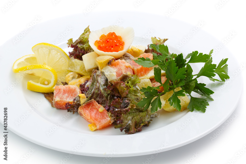 Portion of appetizer salad with salmon and greens isolated Portion of appetizer salad with salmon and greens isolated