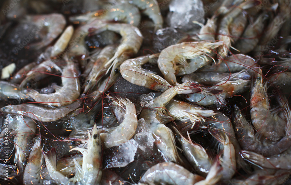 Fresh prawn put on ice in the seafood market Fresh prawn put on ice in the seafood market
