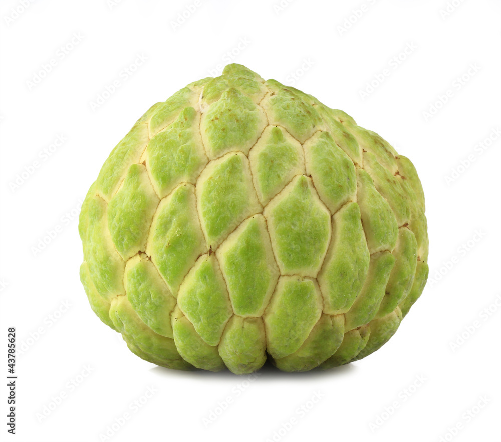 Fototapeta premium Custard apple isolated on white background