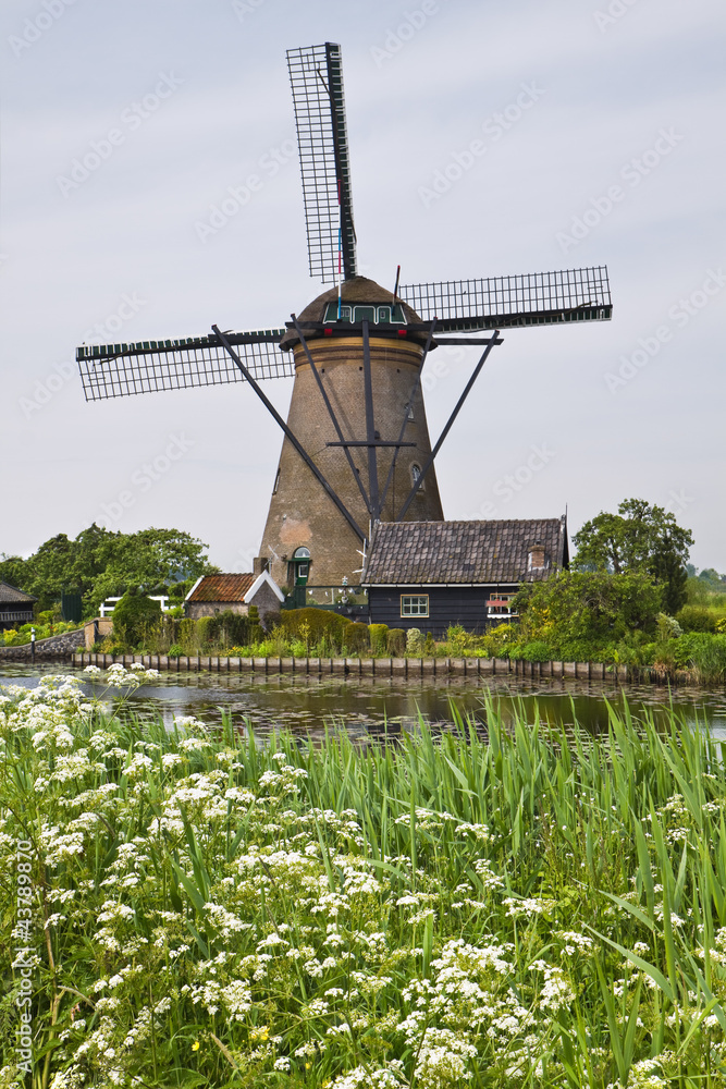 Windmill in Kinderdijk, the Netherlands