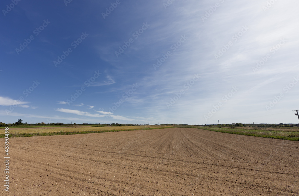 Plowed field in France Plowed field in France