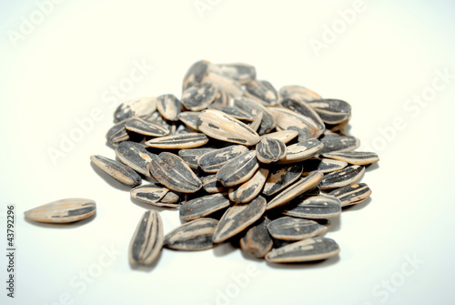 Healthy Sunflower Seeds