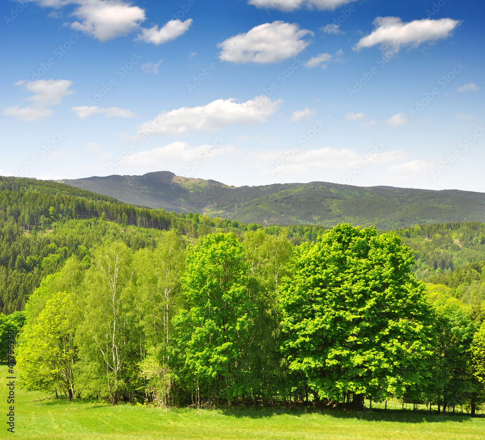 Spring landscape in the national park Sumava - Czech Republic Spring landscape in the national park Sumava - Czech Republic