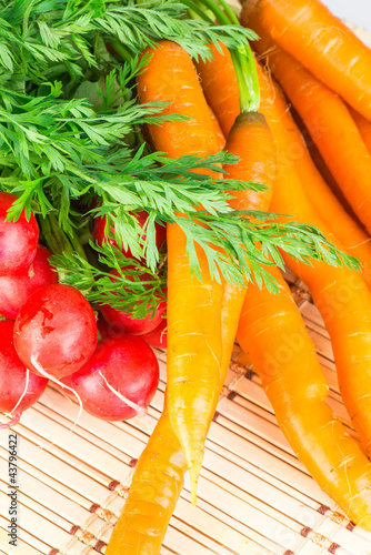 fresh carrots and radishes with tops
