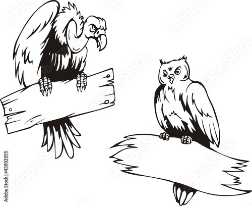 Vulture and owl with boards