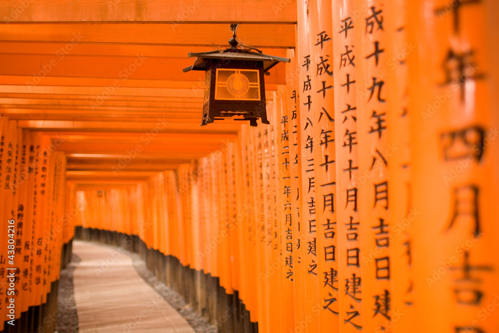 京都伏見稲荷大社の千本鳥居 Stock Photo Adobe Stock 京都伏見稲荷大社の千本鳥居 Stock Photo Adobe Stock