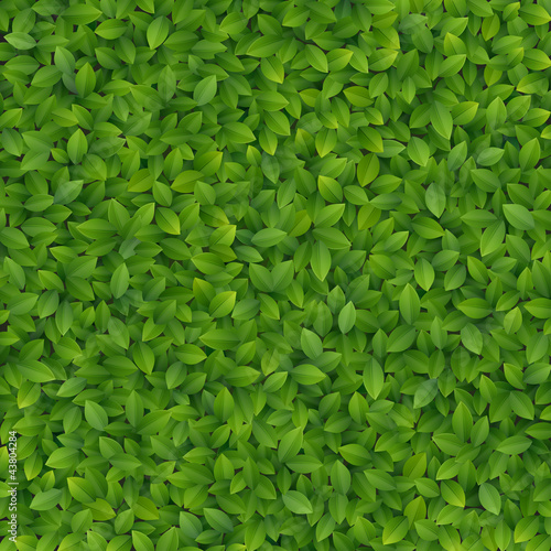 Green leaves texture.