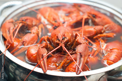 crawfish boiling in a large pot