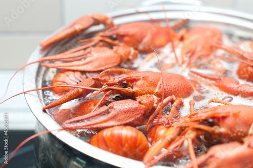 crawfish cooking in a large pot