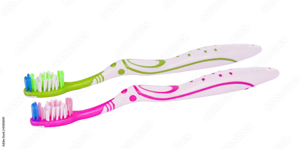 toothbrushes isolated toothbrushes isolated