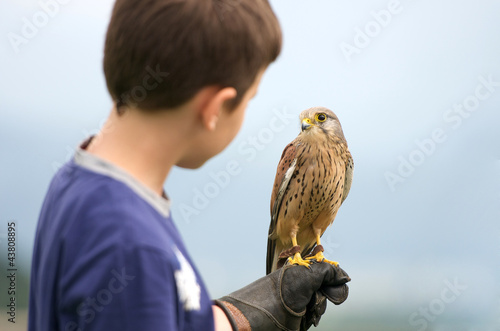 a youngster holding a hawk