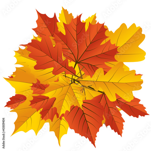 Herbstblätter