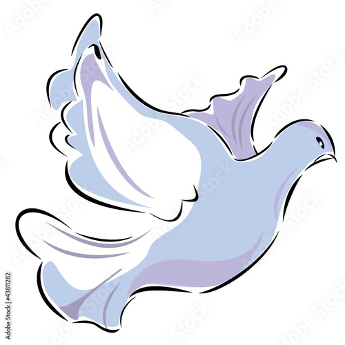Taube Frieden Hochzeit Liebe