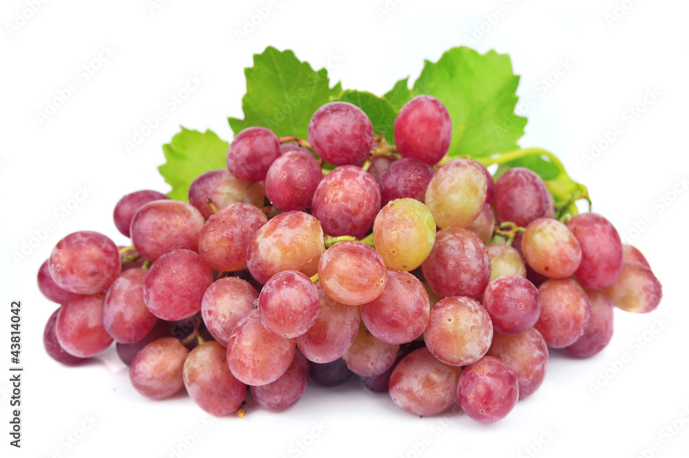 Grape cluster with leaves