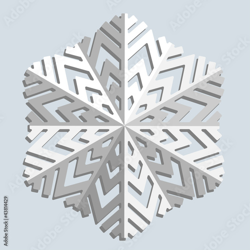 Snowflakes. Vector illustration.
