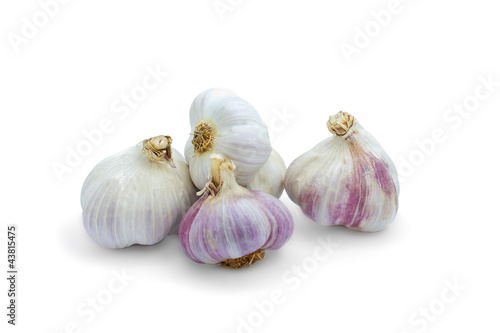 Set of organic garlic on white background