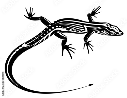 Black lizard with natural decorative ornament