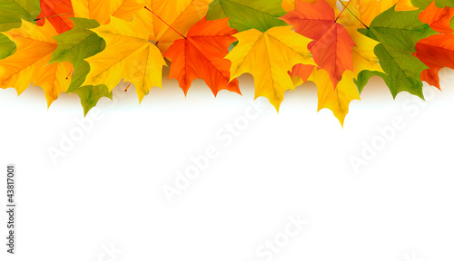 Autumn background with leaves Back to school illustration