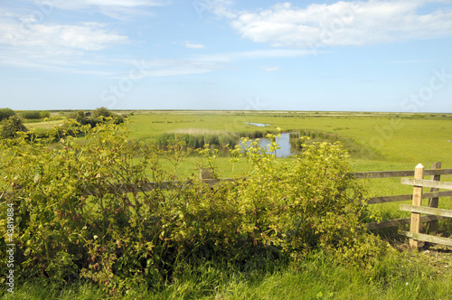 View over marshes at Blakeney  North Norfolk