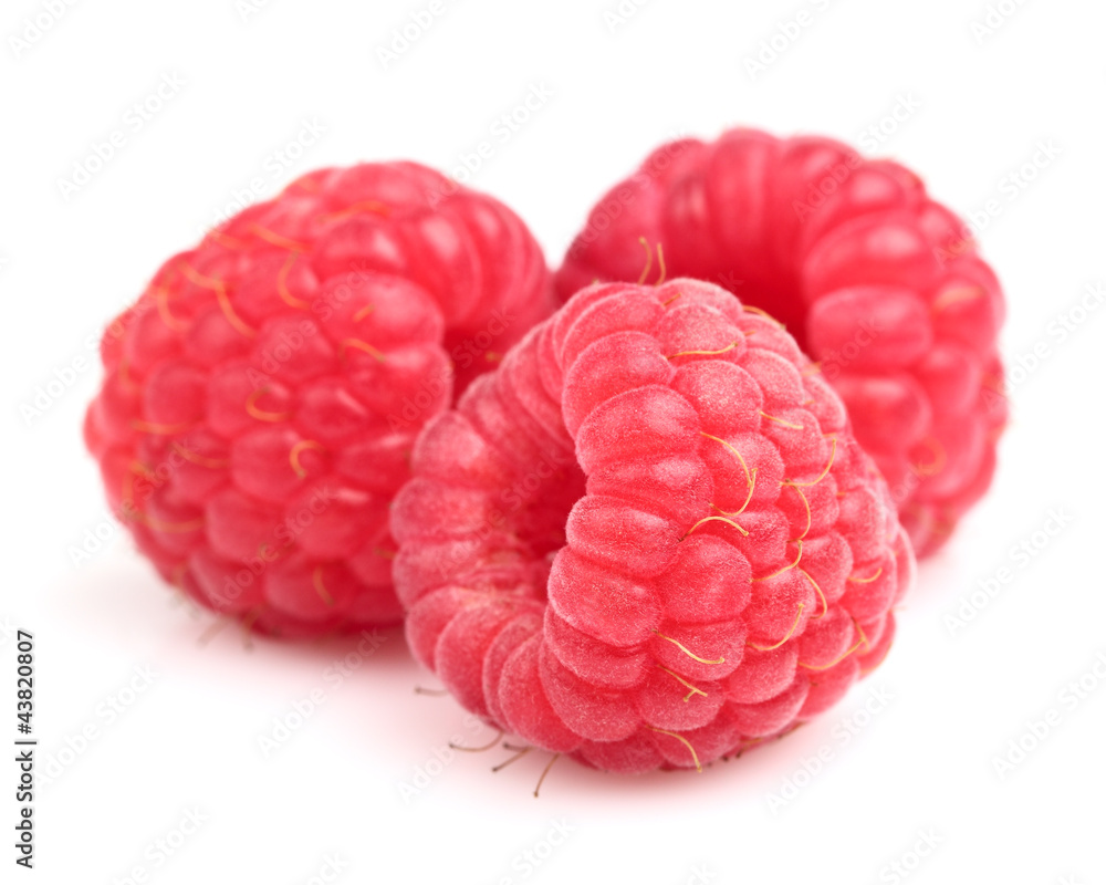 Fresh raspberry in closeup Fresh raspberry in closeup