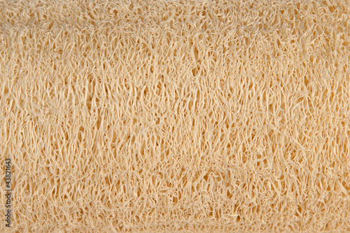 Natural luff sponge texture