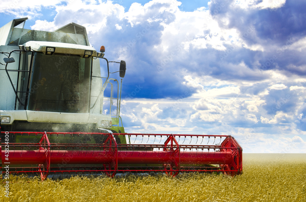 Fototapeta premium Harvester