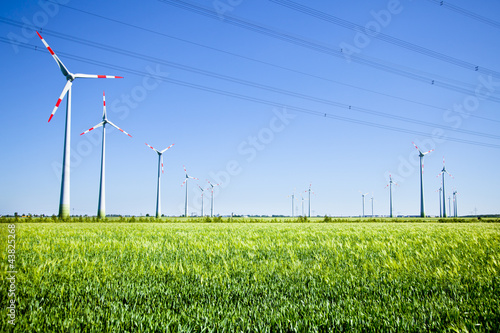 Windräder Energie photo