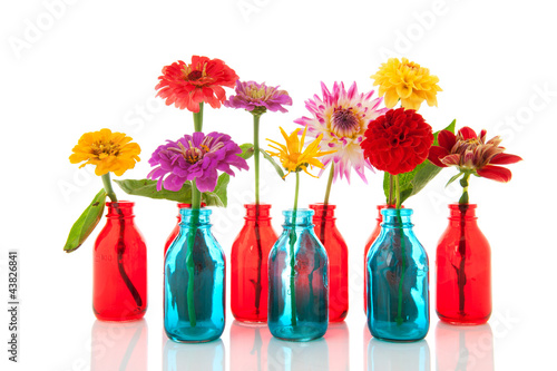Colorful flowers in bottles