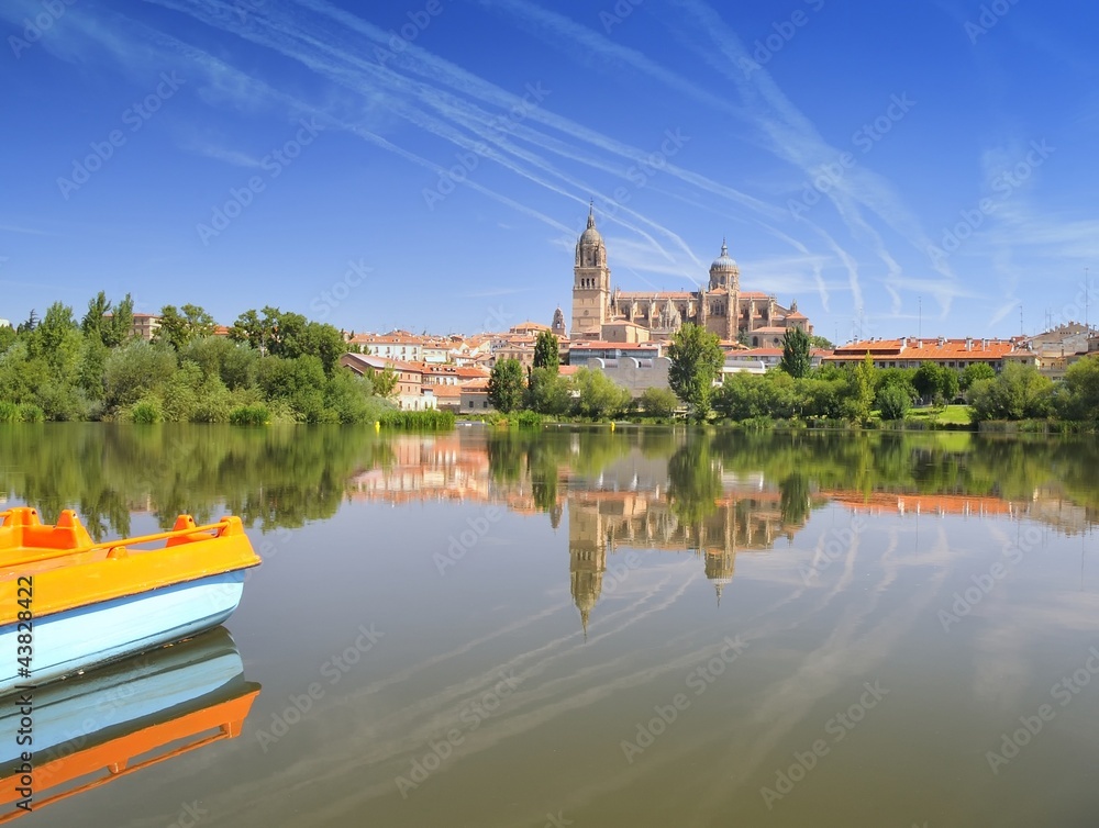 Fototapeta premium Salamanca cathedral.