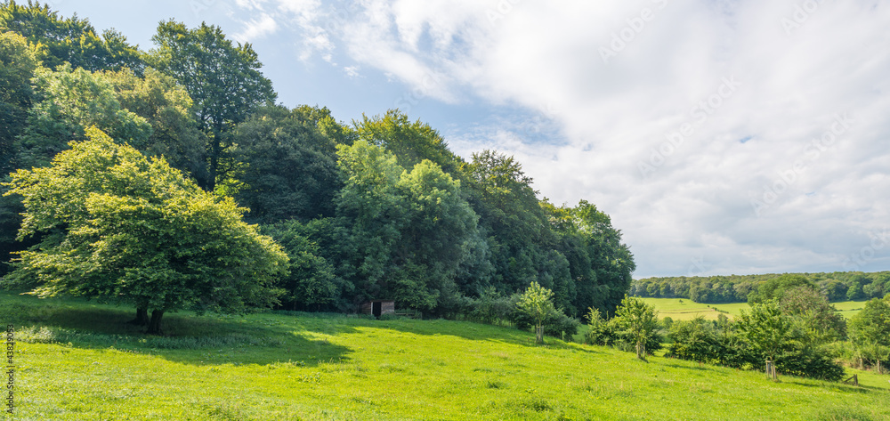 Obraz premium Rural landscape in summer