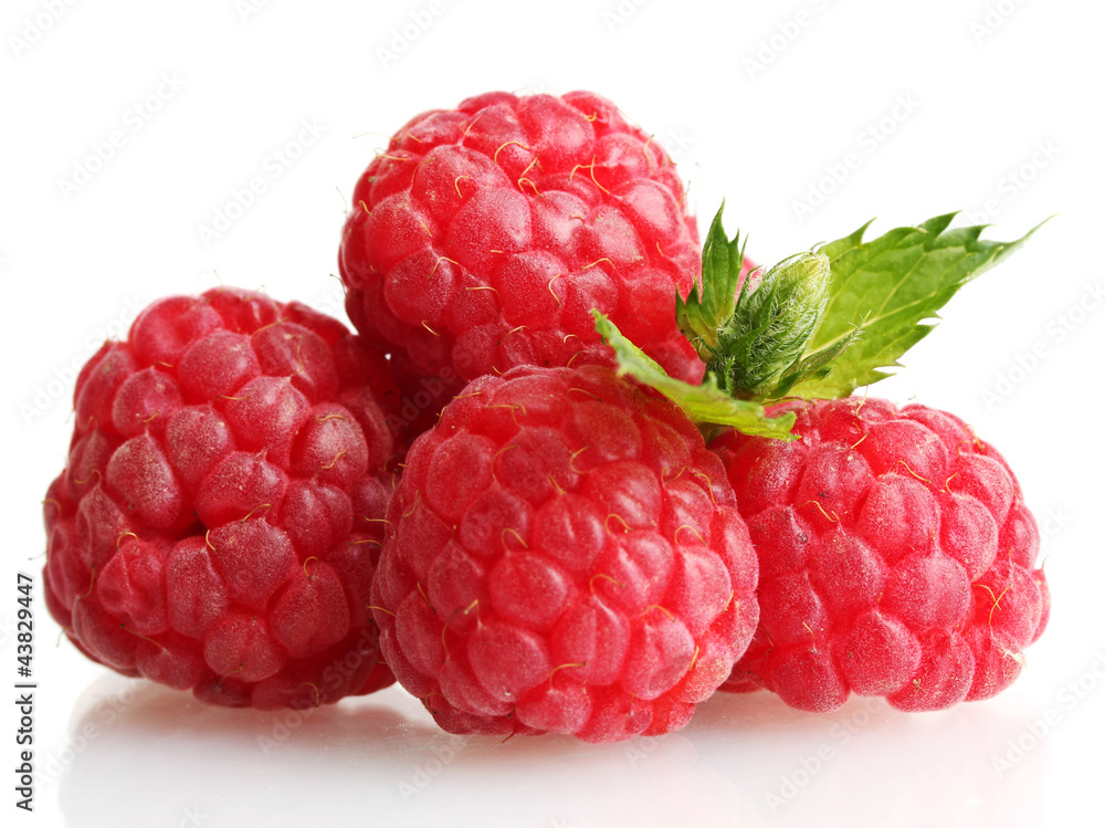 ripe raspberries with mint isolated on white ripe raspberries with mint isolated on white