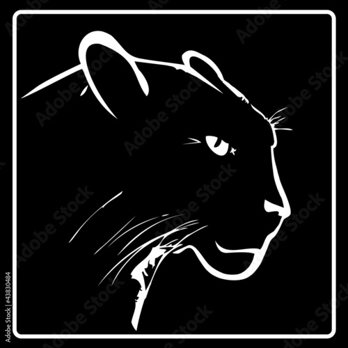 Panther on a black background