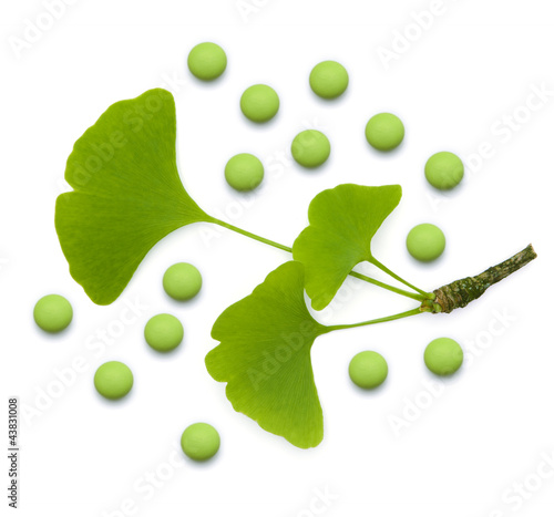 Ginkgoblätter mit Dragees